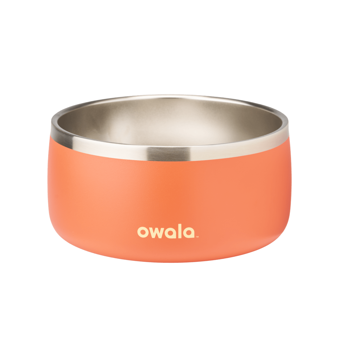 Pet Bowl (S2PQ3)