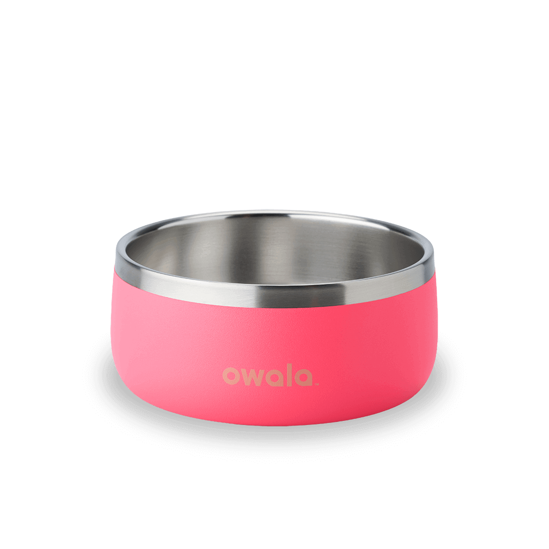 Pet Bowl (S2PQ3)