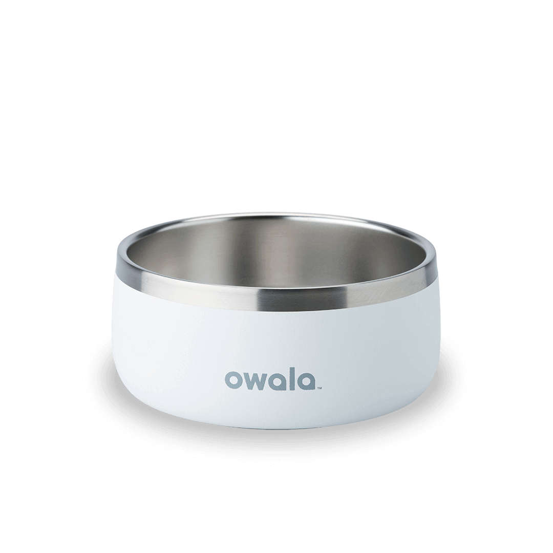 Pet Bowl (S2PQ3)