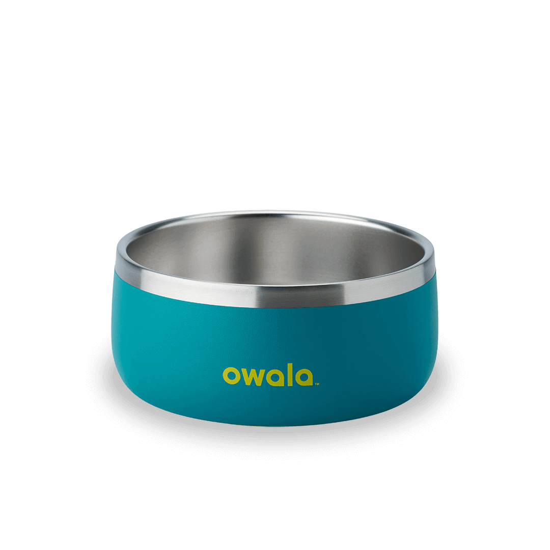 Pet Bowl (S2PQ3)