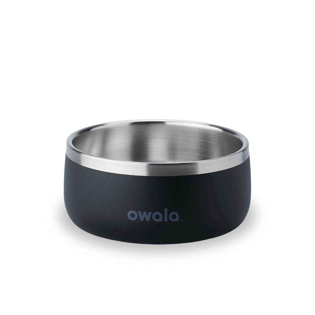Pet Bowl (S2PQ3)